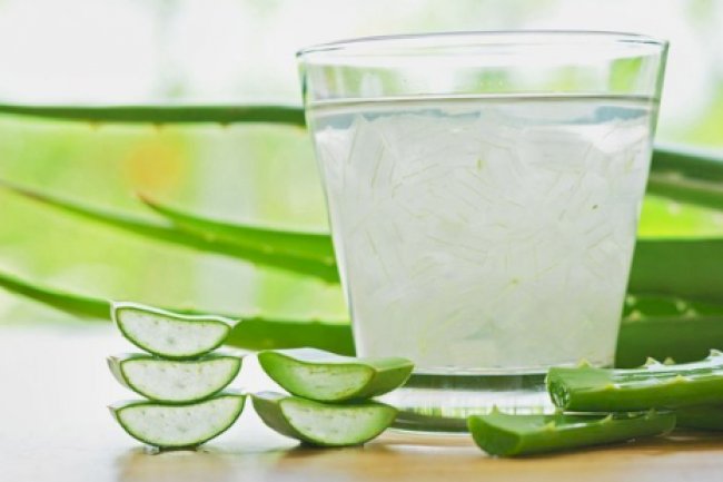 Güzellik, Gençlik ve Şifa Kaynağı Aloe Veranın Faydaları