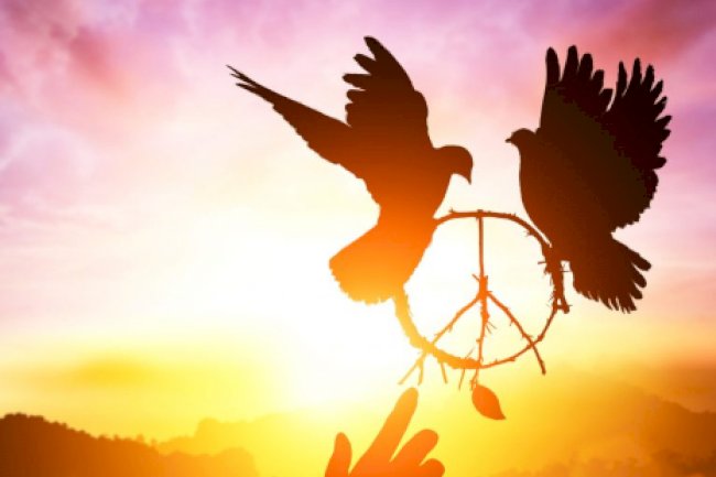 Beden-Zihin-Ruh Dengesiyle 3 Adımda Huzura Yolculuk