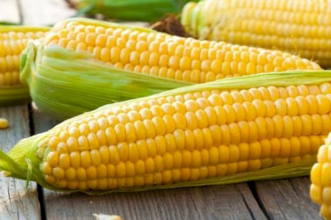 Mısırın faydaları nelerdir?